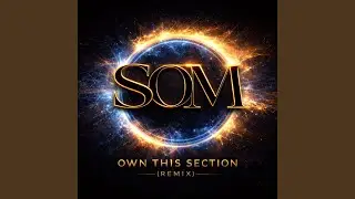 Own This Section (Remix)