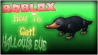 How to get Niffler Companion [Escape Room] (HALLOWEEN EVENT 2018)