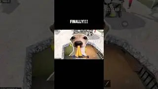 FINALLY!!! SCARFALL 2.0 NEW UPDATE 😍