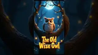 Owl Wisdom: Lessons in Life, Wealth & Happiness