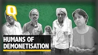 The Quint: Stories of Demonetised Notes Found in the Strangest of Places