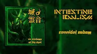 Intestine Baalism - Cannibal Sodom (Electro/Trap/EDM Instrumental Cover)