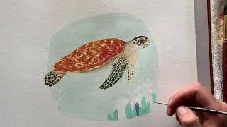 Hawksbill Sea Turtle Illustration &ndash; Speed Painting (WWF Australia &ndash; Think Before You Buy)