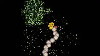 Gyroid effects