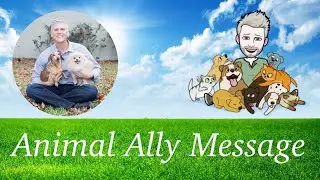 ANIMAL ALLY MESSAGE - SNAKE (THE TOWER)
