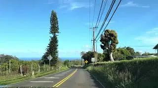 Day 3 in Maui, Ritz to Road to Hana, Banana Bread, Black Sand Beach, and Huli Huli Chicken