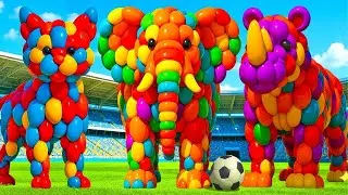 Mascot vibrato bear assistant placed on the football field is popular, co-produced, and creative
