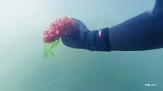 Crabbing & Freediving at Netarts Bay