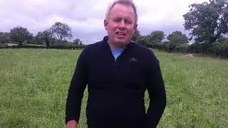 Multi-Species Swards for Beef & Sheep - Farmer Update - Dale Orr