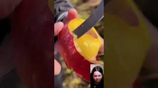 Enjoy Beautiful Nature Life #shortvideo  #fruitsworld #colorfulfruits #food #fruits #fruitoftheearth