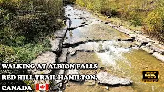 【4K】 Walking at Albion Falls Red Hill Trail Hamilton, Canada