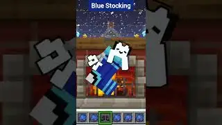 Minecraft Actions & Stuff 1.9 Christmas Update All Stockings (With Labels)