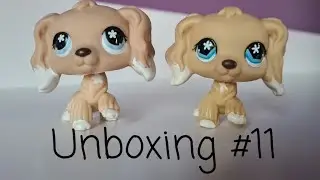 UNBOXING RARE LPS SPANIEL #568 AUSTRALIAN EXCLUSIVE - Unboxnig #11