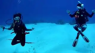 SCUBA DIVING COZUMEL - Divemaster Training with Blue Magic Scuba