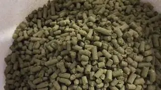 Dry Hopping with Brewer Jake