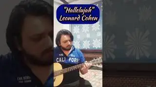 Day 208 of iconic riff | Hallelujah by Leonard Cohen | acoustic guitar🎸#shorts