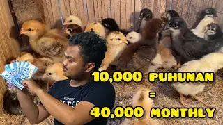 KUNG MAY 10,000 PESOS KA, ITO ANG NEGOSYO NA PERFECT SA IYO