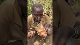 Living in harmony with nature, the Hadzabe tribe is a true inspiration
