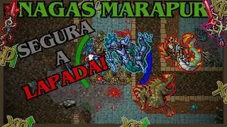 [TIBIA] EK 788 NAGAS DE MARAPUR | 6.7KK/H RAW + 1.1KK PROFIT