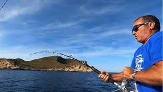 Pesca al vivo, una serviola🍋 nos pica al calamar🦑. Denton Timelapse.