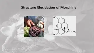 morphine structure elucidation