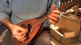 556 Calace bowlback mandolin