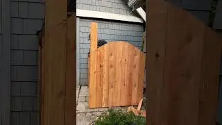 WOOD FENCE GATE  SCALLOP TOP 🪚 #fence #gate #shorts