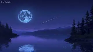Quiet Mind, Deep Sleep | 1 Hour Soft Piano Sleep Music (No Loops)
