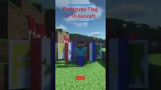 Paraguay Flag Side 1 Flag Banner | Minecraft #shorts