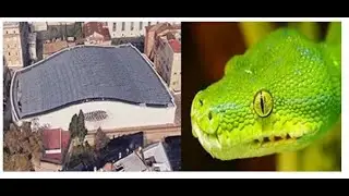 Papal Audience Hall is Shaped Like the Head of a Snake.