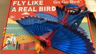 GO GO Bird Hanvon