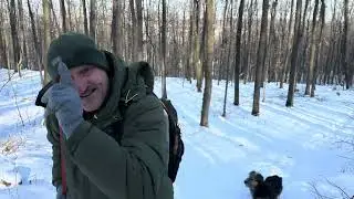 Iarna in pădurea Agafton 