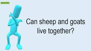 Can Sheep And Goats Live Together?