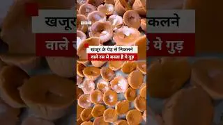 गन्ना नहीं, खजूर के पेड़ से निकलने वाले रस से बनता है ये गुड़ #shorts #yaarयेबनताकैसेहै (BBC Hindi)