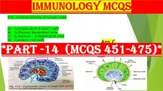 IMMUNOLOGY MCQS *PART 14* | 1800+ MCQS ON IMMUNOLOGY WITH EXPLANATION | IMMUNOLOGY QUESTION & ANSWER