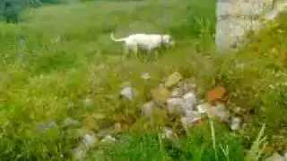 En Sky per Mas den Com&uacute;.
