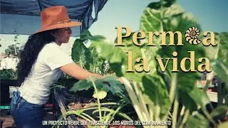 Permea la vida