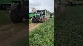 Maisabfahren 2025🌽💨🤩 Fendt 920 TMS am Limit😱🔥🚜 Krone ZX 430 Ladewagen💪 #farming #sound #agriculture