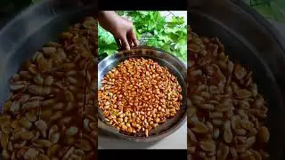 mungfali ki chikki cutting with knife #viralshort #asmr #chikki #peanut
