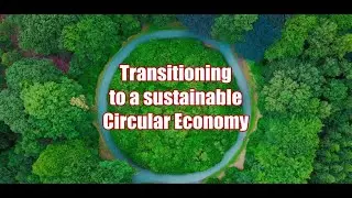 The transition to a sustaniable circular economy