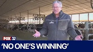 Trump threatens new tariffs on Canadian dairy imports: 'No one's winning'