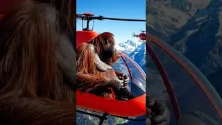 #shortvideo#love #youtube#youtubeshorts #funny#ytshorts#short #shortsviral#ai#art #money#helicopter