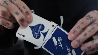 Remedies Royal Blue Playing Cards by Madison x Schneider