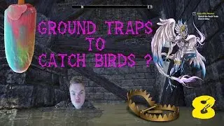 ESO - ground traps to catch birds