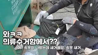 오ㅋㅋㅋ 헌옷수거함에서 속옷이 나왔습니다