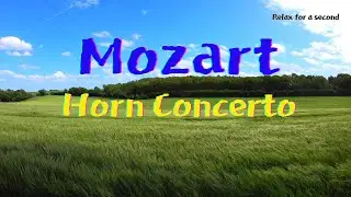 👀🎧Mozart Horn Concerto K.412 K.417 K.447 K.495🎧😍/🤼‍♂️While working/☕Listen at a cafe (52:09)