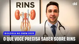 [ENEM 2025] Tudo sobre os RINS: o resumo definitivo pra sua revisão de Biologia