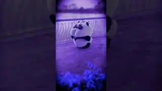 #PandaLovesMusic#MusicLovingPanda#PandaBeats#PandaGroove#SubscribeForMusic#PandaVibes
