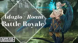 *  Adagio Roam BR  *