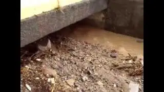 Barranco Salinetas vuelve a correr